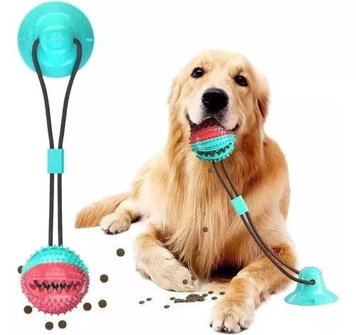 PELOTA CON CHUPA PARA PERROS