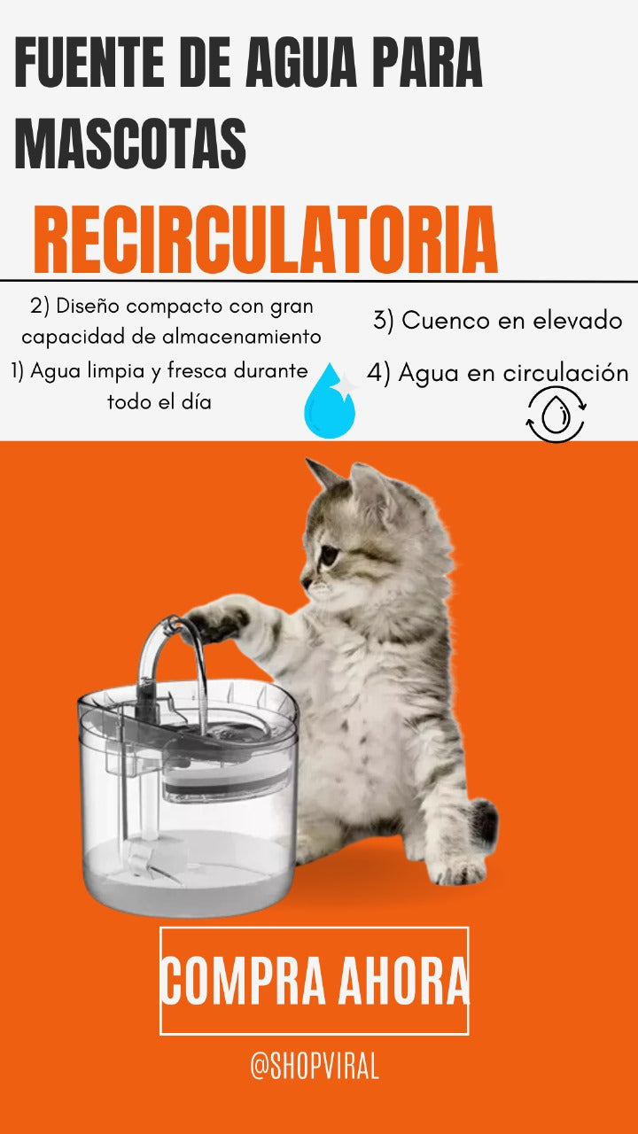 Fuente De Agua Para Mascotas Transparente